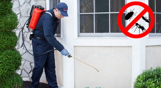 Torul Bit İlaçlama böcek ilaçlama ve haşere kontrolü — ilaclama-tr.com